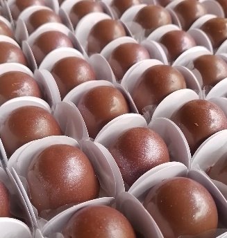 Brigadeiro Tradicional Belga Boleado